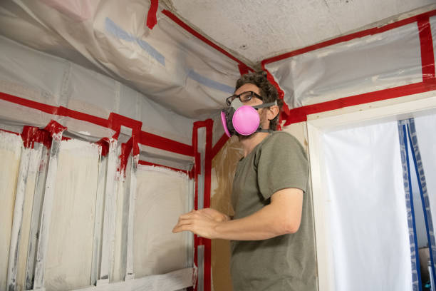  Vallejo, CA Mold Removal Pros