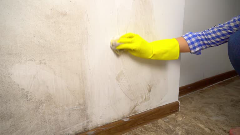 Best Asbestos and Lead Testing During Mold Inspection  in Vallejo, CA
